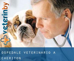 Ospedale Veterinario a Cheriton