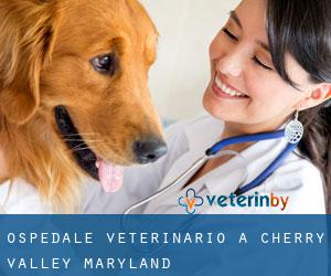 Ospedale Veterinario a Cherry Valley (Maryland)