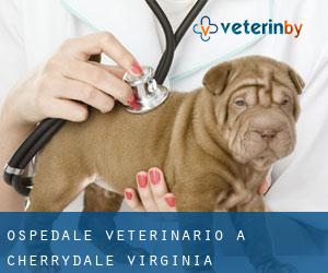 Ospedale Veterinario a Cherrydale (Virginia)