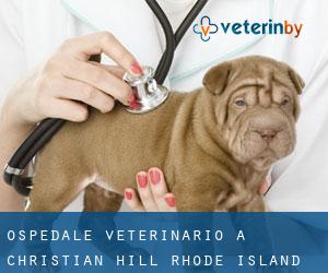 Ospedale Veterinario a Christian Hill (Rhode Island)
