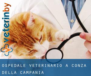 Ospedale Veterinario a Conza della Campania