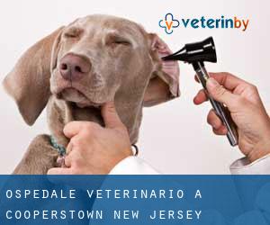 Ospedale Veterinario a Cooperstown (New Jersey)