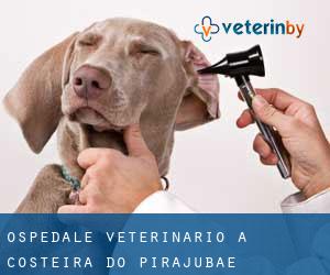 Ospedale Veterinario a Costeira do Pirajubae