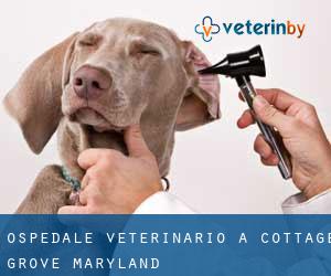 Ospedale Veterinario a Cottage Grove (Maryland)