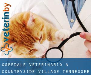 Ospedale Veterinario a Countryside Village (Tennessee)