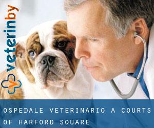 Ospedale Veterinario a Courts of Harford Square