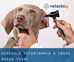Ospedale Veterinario a Cross Roads (Texas)