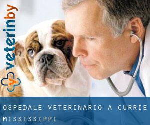 Ospedale Veterinario a Currie (Mississippi)
