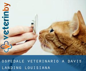 Ospedale Veterinario a Davis Landing (Louisiana)