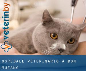 Ospedale Veterinario a Don Mueang
