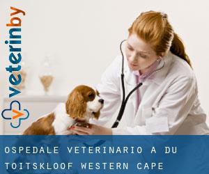 Ospedale Veterinario a Du Toitskloof (Western Cape)