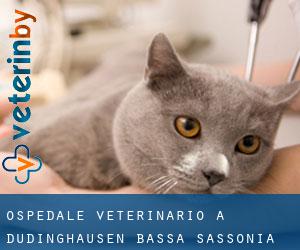 Ospedale Veterinario a Düdinghausen (Bassa Sassonia)