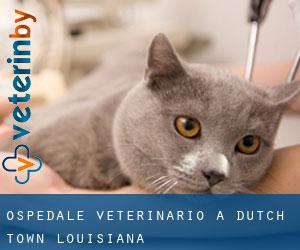Ospedale Veterinario a Dutch Town (Louisiana)