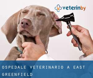 Ospedale Veterinario a East Greenfield