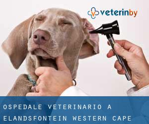 Ospedale Veterinario a Elandsfontein (Western Cape)