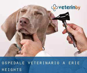 Ospedale Veterinario a Erie Heights