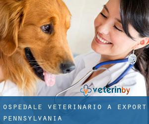 Ospedale Veterinario a Export (Pennsylvania)