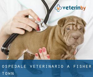 Ospedale Veterinario a Fisher Town