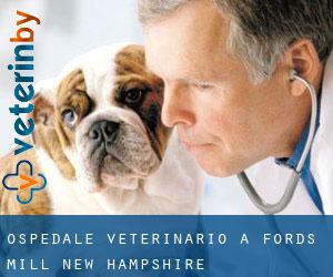 Ospedale Veterinario a Fords Mill (New Hampshire)