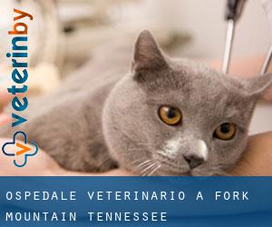 Ospedale Veterinario a Fork Mountain (Tennessee)