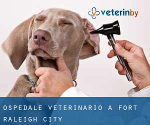 Ospedale Veterinario a Fort Raleigh City