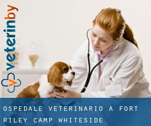 Ospedale Veterinario a Fort Riley-Camp Whiteside