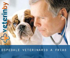 Ospedale Veterinario a Frías