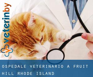 Ospedale Veterinario a Fruit Hill (Rhode Island)