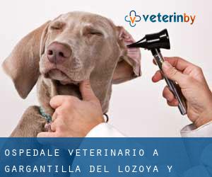Ospedale Veterinario a Gargantilla del Lozoya y Pinilla de Buitrago