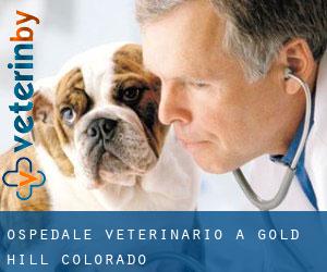 Ospedale Veterinario a Gold Hill (Colorado)