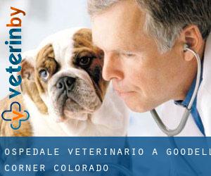 Ospedale Veterinario a Goodell Corner (Colorado)