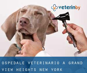Ospedale Veterinario a Grand View Heights (New York)