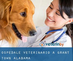 Ospedale Veterinario a Grant Town (Alabama)