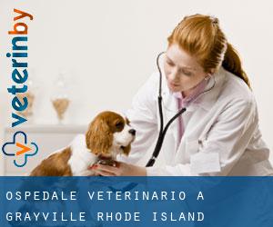 Ospedale Veterinario a Grayville (Rhode Island)