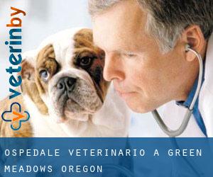 Ospedale Veterinario a Green Meadows (Oregon)