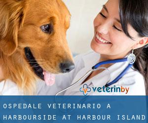 Ospedale Veterinario a Harbourside at Harbour Island