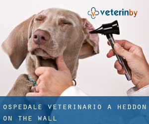 Ospedale Veterinario a Heddon on the Wall