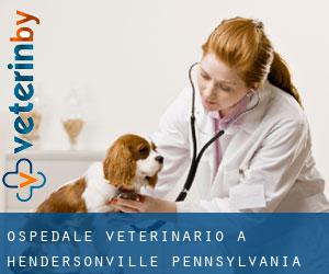 Ospedale Veterinario a Hendersonville (Pennsylvania)