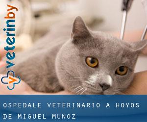 Ospedale Veterinario a Hoyos de Miguel Muñoz