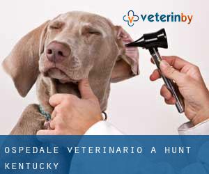 Ospedale Veterinario a Hunt (Kentucky)