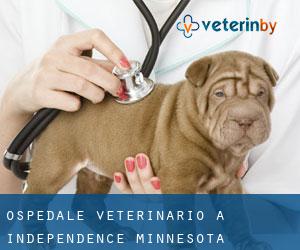 Ospedale Veterinario a Independence (Minnesota)