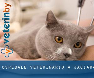 Ospedale Veterinario a Jaciara