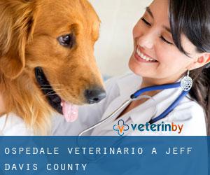 Ospedale Veterinario a Jeff Davis County