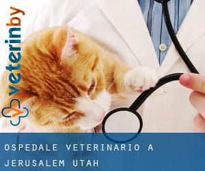 Ospedale Veterinario a Jerusalem (Utah)