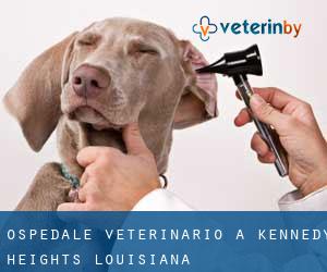 Ospedale Veterinario a Kennedy Heights (Louisiana)