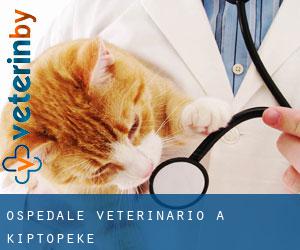 Ospedale Veterinario a Kiptopeke