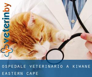 Ospedale Veterinario a Kiwane (Eastern Cape)