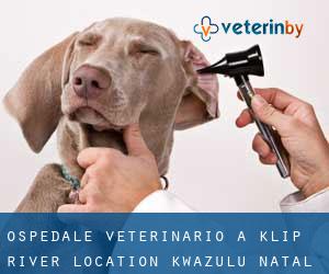 Ospedale Veterinario a Klip River Location (KwaZulu-Natal)