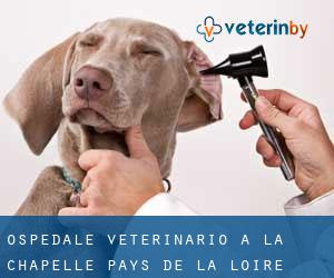 Ospedale Veterinario a La Chapelle (Pays de la Loire)