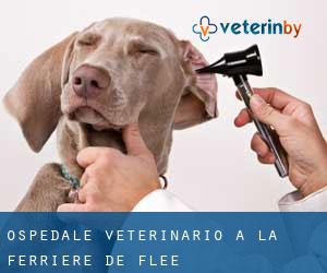 Ospedale Veterinario a La Ferrière-de-Flée